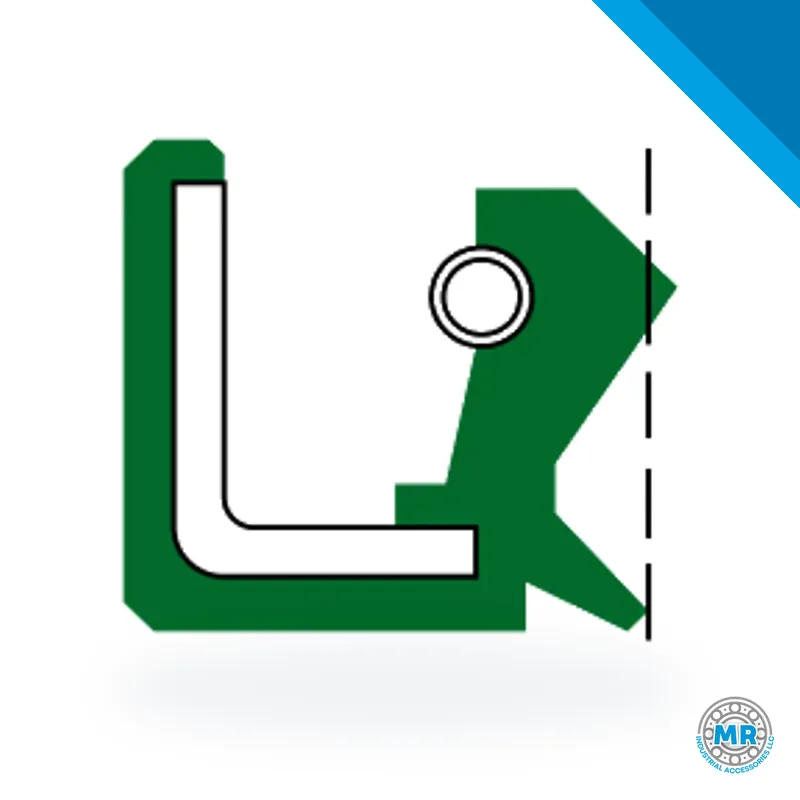 DBH type Lx radial shaft seal, double lip with one spring, in section · DBH 1006