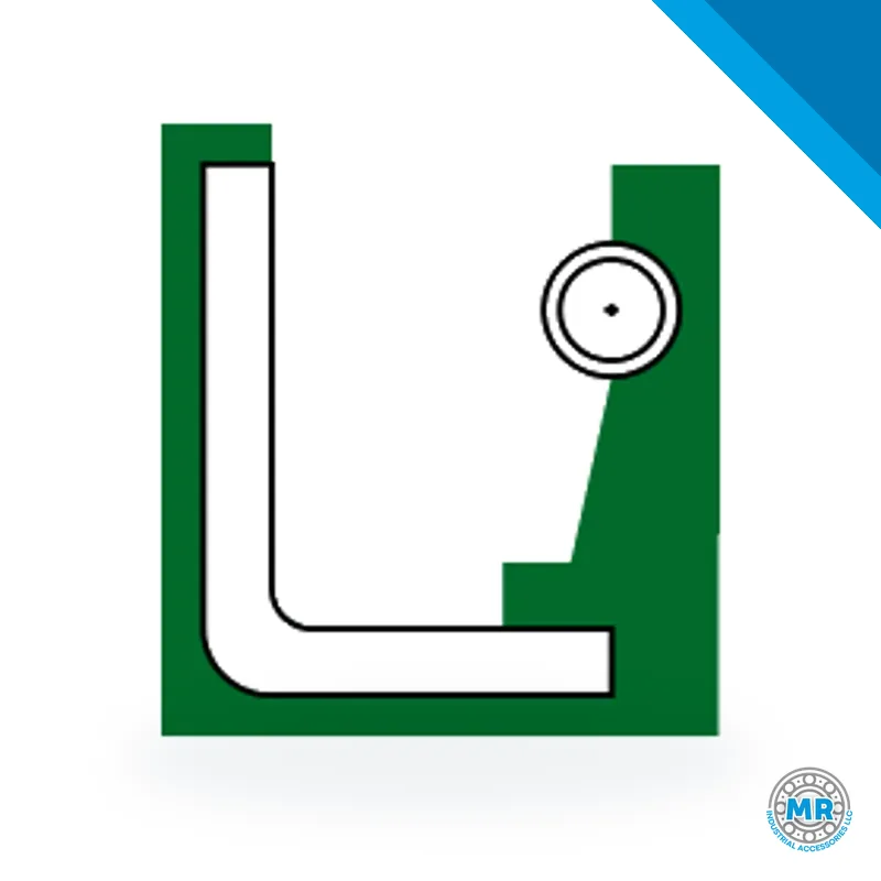 DBH type Lz radial shaft seal, single lip with spring, in section · DBH 1002