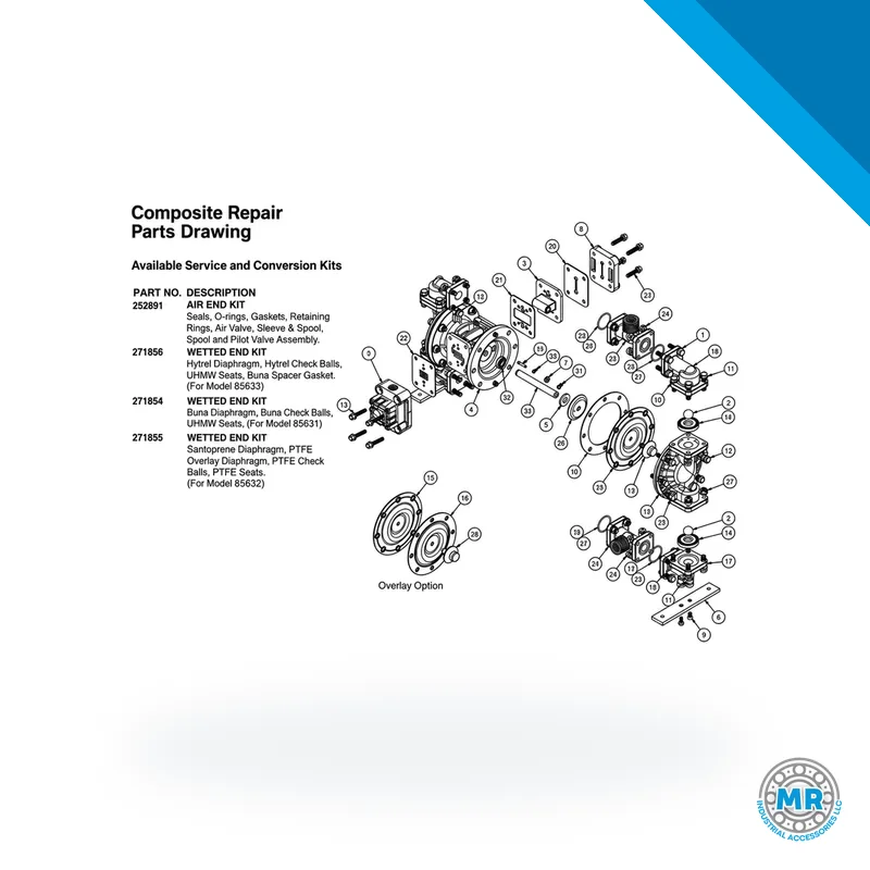 Wet end kit with diaphragm and rubber gaskets for pump · SKF LL/271854