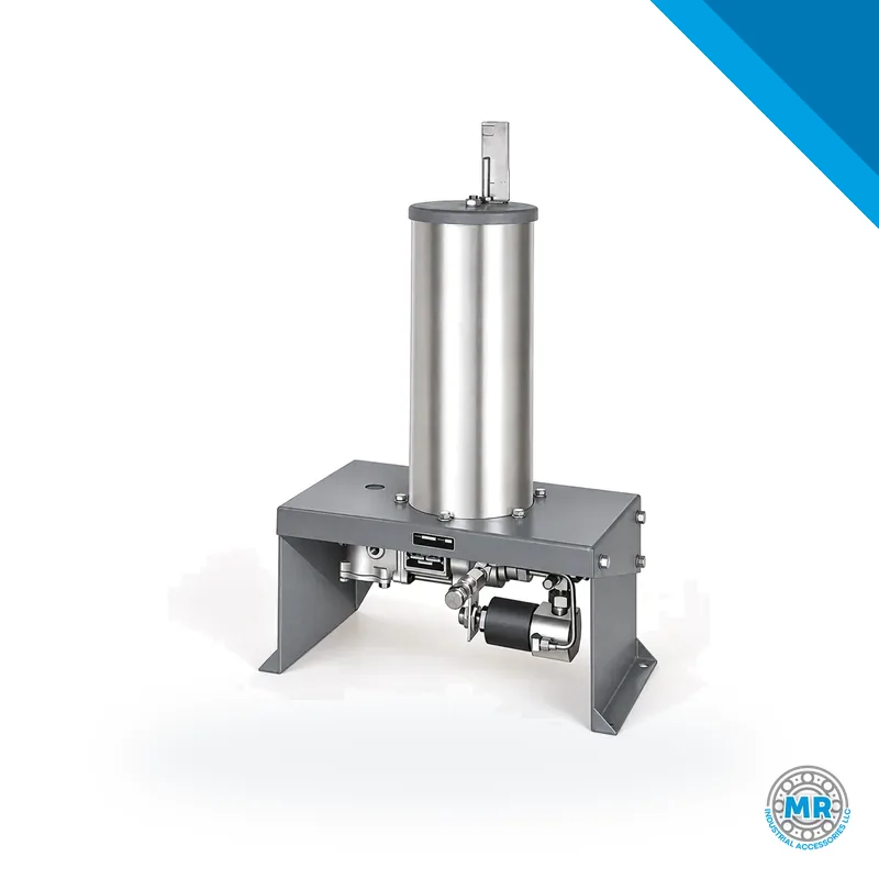 Manual piston pump with cylindrical metal body and lever · SKF LL/83800